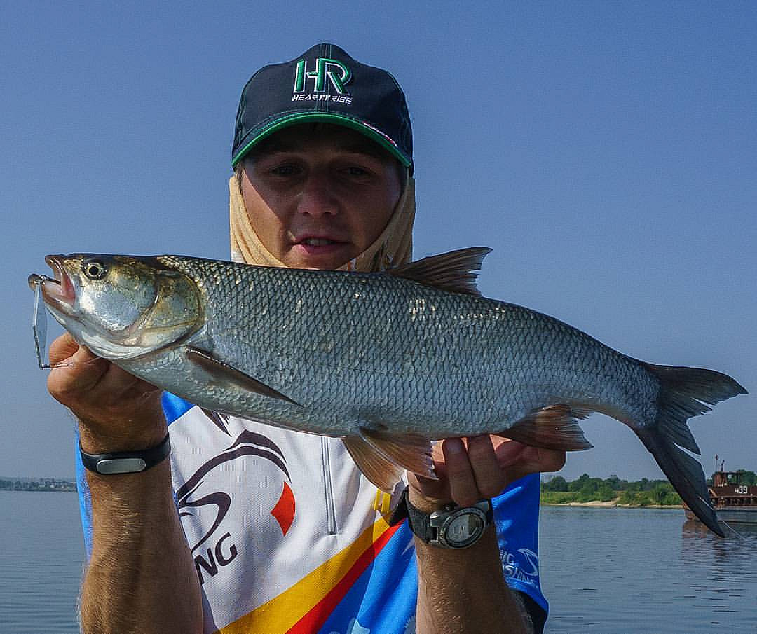 Спортивная рыбалка на Москва реке. Fishing в интернете. Nava Fish Moscow.