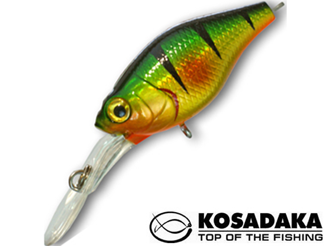 Kosadaka Raven XL 40F