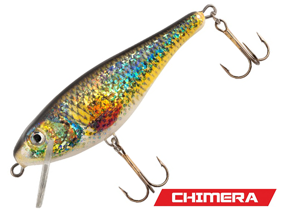 Chimera Silver Fox Shad 120F