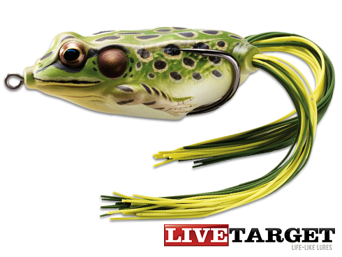 LiveTarget Frog Hollow Body