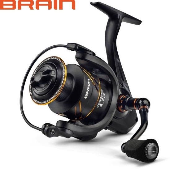 Brain Apex 20