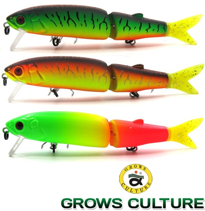 Grows Culture Magallon 113SP