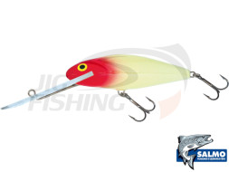 Воблер  Salmo Perch 120mm 36gr #PH12F-LRH