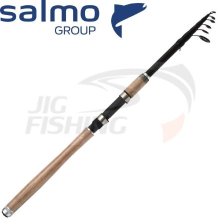Спиннинг Salmo Aggressor Travel Spin 20 2.70m 5-25gr