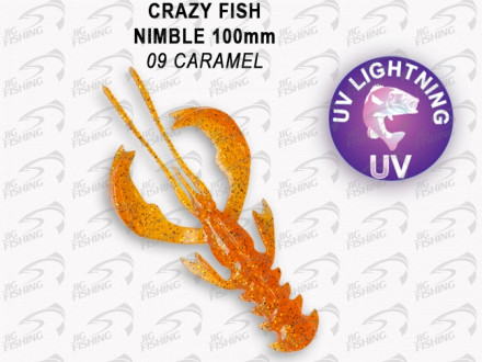 Мягкие приманки Crazy Fish Nimble 4&quot; #09 Caramel