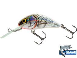 Воблер  Salmo Hornet 40mm 3gr #H4F-SWS