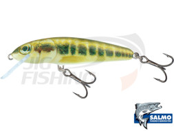 Воблер  Salmo Minnow 90mm 10gr #M9F-M