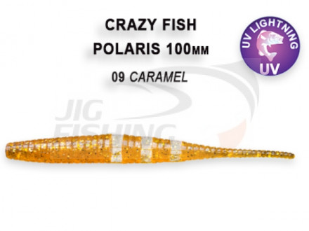 Мягкие приманки Crazy Fish Polaris 4&quot;  09 Caramel