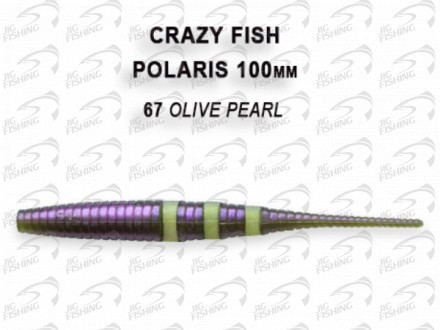 Мягкие приманки Crazy Fish Polaris 4&quot;  67 Olive Pearl