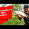Спиннинг Crazy Fish Levin CFL-6'9"-L-T  2.10m 3-15gr