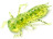 Мягкие приманки FishUp Dragonfly 1.2&quot; #026 Flo Chartreuse Green