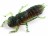Мягкие приманки FishUp Dragonfly 1.7&quot; #017 Motor Oil Pepper