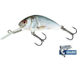 Воблер  Salmo Hornet 40mm 3gr #H4F-RD